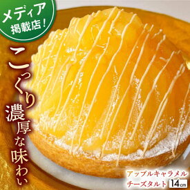 【ふるさと納税】アップルキャラメルチーズタルト(14cm)【心優　－Cotoyu Sweets－】[KAA400]