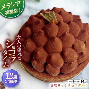yӂ邳Ɣ[ŁzyS12ցzˎYS5w b` `R^g 1z[(14cm) ySD-CotoyuSweets-z[KAA431]