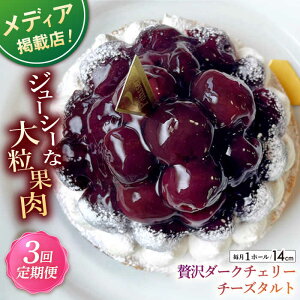 yӂ邳Ɣ[ŁzyS3ցzґ_[N`F[^g(14cm)ySD |Cotoyu Sweets|z[KAA453]