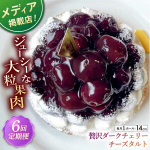 yӂ邳Ɣ[ŁzyS6ցzґ_[N`F[^g(14cm)ySD |Cotoyu Sweets|z[KAA454]