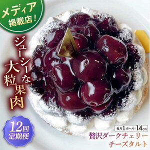 yӂ邳Ɣ[ŁzyS12ցzґ_[N`F[^g(14cm)ySD |Cotoyu Sweets|z[KAA455]