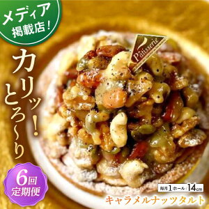 yӂ邳Ɣ[ŁzyS6ցzibcD̂߂̃Libc^g(14cm)ySD |Cotoyu Sweets|z[KAA460]