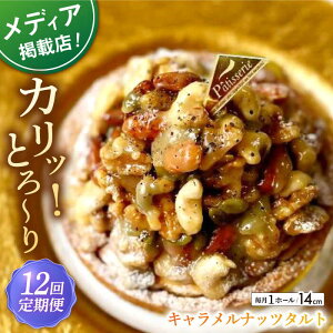 yӂ邳Ɣ[ŁzyS12ցzibcD̂߂̃Libc^g(14cm)ySD |Cotoyu Sweets|z[KAA461]