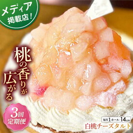 【ふるさと納税】【全3回定期便】白桃チーズタルト1ホール(14cm)【心優　−Cotoyu Sweets−】[KAA527]