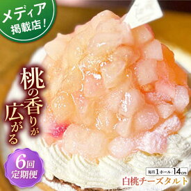 【ふるさと納税】【全6回定期便】 白桃チーズタルト1ホール(14cm)【心優　−Cotoyu Sweets−】[KAA528]