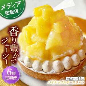 yӂ邳Ɣ[ŁzyS6ցz pCibv`[Y^g1z[(14cm)ySD@|Cotoyu Sweets|z[KAA534]