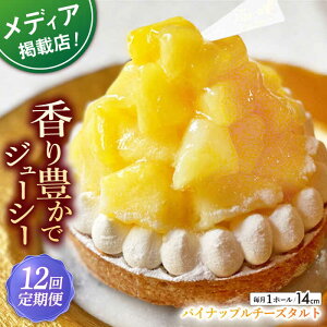 yӂ邳Ɣ[ŁzyS12ցzpCibv`[Y^g1z[(14cm)ySD@|Cotoyu Sweets|z[KAA535]