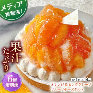 yӂ邳Ɣ[ŁzyS6ցz IW&sNO[vt[c`[Y^g1z[(14cm)ySD@|Cotoyu Sweets|z[KAA537]