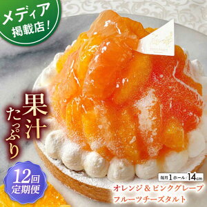yӂ邳Ɣ[ŁzyS12ցzIW&sNO[vt[c`[Y^g1z[(14cm)ySD@|Cotoyu Sweets|z[KAA538]