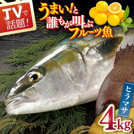楽天市場 ヒラマサ 食品 の通販