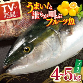 【ふるさと納税】ブリ 平戸なつ香 約4～5kg【坂野水産】 鮮魚 夏香 なつ香 [KAA003] ブリ ぶり 鮮魚 刺身 長崎 長崎県