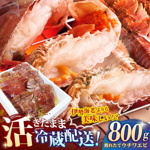 ウチワエビの通販 価格比較 価格 Com