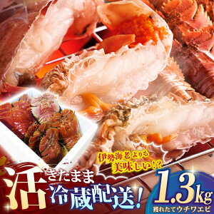 yӂ邳Ɣ[ŁzyɐCVIHz t̊lꂽ E`Gr 1.3kg ˎs / Ђ΂ [KAA058]  CV Gr 킦 E`Gr CN VN  lC Ƃꂽ