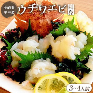ウチワエビの通販 価格比較 価格 Com