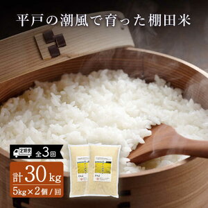 yӂ邳Ɣ[ŁzyS3ցz˂̒ň Ic v30kg i5kg×2/j ˎs / ЂǐVNs [KAB172]@ɂ܂ Ђ̂Ђ Ђ    ͂ 