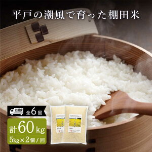 yӂ邳Ɣ[ŁzyS6ցz˂̒ň Ic v60kg i5kg×2/j ˎs / ЂǐVNs [KAB173] ɂ܂ Ђ̂Ђ Ђ    ͂ 