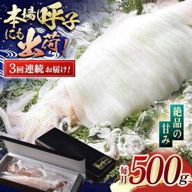 【ふるさと納税】【全3回定期便】瞬間冷凍 平戸 極鮮 ヤリイカ 計1.5kg (約500g×3回)【海隆丸】 [KAB178]