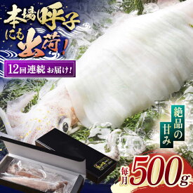 【ふるさと納税】【全12回定期便】 瞬間冷凍 平戸 極鮮 ヤリイカ 計6.0kg (約500g×12回)【海隆丸】 [KAB180]