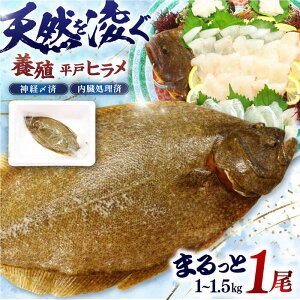 yӂ邳Ɣ[Łzy{Bzyρz_oY˃q1 1~1.5kg ˎs/C~Y[KAB316]{