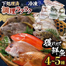 【ふるさと納税】【平戸市場直送】旬の獲れたて鮮魚（冷凍）＜4～5種類＞ 平戸市 / ひらど新鮮市場 [KAB007] 直送 タイ カサゴ イカ カンパチ ぶり 甘鯛 地魚 海鮮 高級魚