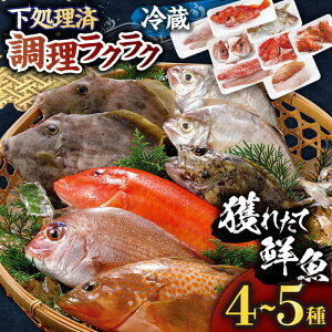 yӂ邳Ɣ[ŁzylCIՂՂŐVNȂVstz{̊lꂽđN (①z / 4`5) ˎs / ЂǐVNs [KAB030]  ^C JTS CJ Jp` Ԃ A}_C