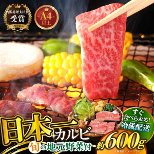 yӂ邳Ɣ[Łzy˂̎R̍Kza ēZbgij`S̒nؕt` ˎs / ЂǐVNs [KAB032] VN ˘a ē BBQ o[xL[ Lv ؕt