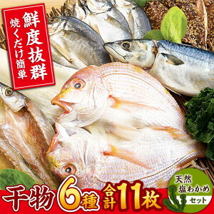 yӂ邳Ɣ[Łzyˎz؊ 6lVR킩߃Zbg ˎs / RY [KAB067]     CJ ^C 킩 Zbg CN  lC Ă  Ⓚ B 