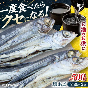 yӂ邳Ɣ[ŁzŷɁIz250g×2pbN ˎs / X萅Y[KAD305]