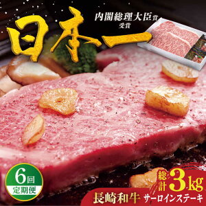 yӂ邳Ɣ[ŁzyS6ցzI a T[CXe[L v3kgi250g×2/jˎs / HY[KAD334]