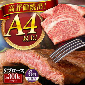 yӂ邳Ɣ[ŁzyS6ցza u[X Xe[L v1.8kg (300g×6) ˎs / HY[KAD339]
