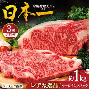 yӂ邳Ɣ[ŁzyS3ցzIaT[CubN1kg ˎs / HY[KAD366]