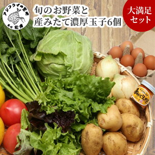 【新鮮やさいと卵の人気セット】道の駅松浦海のふるさと館『旬...