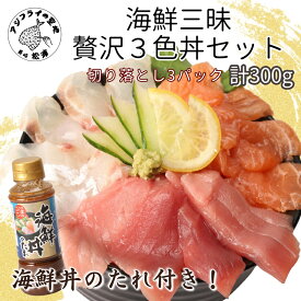 【ふるさと納税】海鮮丼のたれ付！海鮮三昧贅沢3色丼セット 100g×3パック【B0-223】 海鮮 ふるさと納税 海鮮丼 ふるさと納税 刺身 刺身セット マグロ 鮪 真鯛 タイ たい 鮭 サーモン 切り落とし セット カルパッチョ 簡単調理 ギフト プレゼント 贈り物