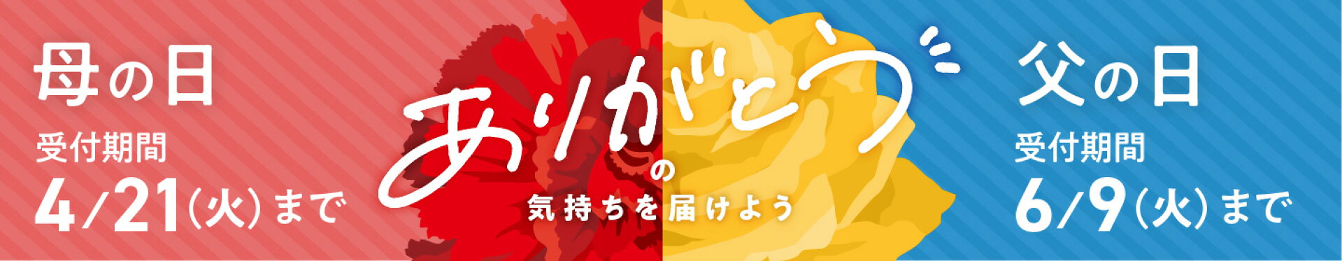 母の日・父の日特集