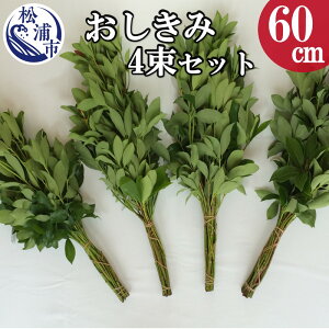 生花 シキミの人気商品 通販 価格比較 価格 Com