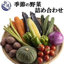 【ふるさと納税】季節の野菜詰め合わせ【A9-009】 野菜 季節の野菜 季節の果物 セット 産地直送 新鮮 トマト ニンジン ブロッコリー ジャガイモ 白菜 春野菜農家 季節 サラダ 新鮮 セット やさい 送料無料 夏 松浦市 九州 詰め合わせ おまかせ