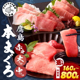 【ふるさと納税】鷹島本まぐろ 切り落とし 食べ切りサイズ 80g 〜800g 選べる 内容量 ふるさと納税 まぐろ マグロ 大トロ 中トロ 赤身 海鮮 ふるさと納税 人気 本まぐろ 鮪 海鮮丼 国産