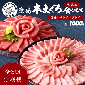 【ふるさと納税】【全3回定期便】鷹島本まぐろ 赤身・中トロ・大トロ合わせて1000g【K26-001】