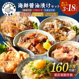 【ふるさと納税】＼お中元／《 内容量が選べる 》海の幸 海鮮醤油漬け 胡麻さば 天然あじ丼 天然ぶり丼 単品 3種セット 6種セット 小分け 簡単 流水解凍 お手軽 便利 個包装 海鮮 海鮮丼 漬け丼 お茶漬け 魚介 鯵 さば 鯖 ぶり あじ丼 ぶり丼 胡麻さば 時短