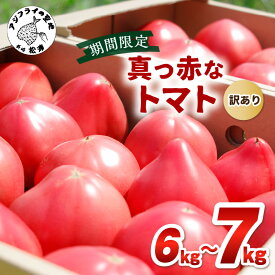 【ふるさと納税】期間限定 真っ赤なトマトわけあり大容量6kg〜7kg【B0-269】ふるさと納税 訳あり とまと夏野菜 大玉トマト 大容量 野菜 松浦 高糖度 甘い トマト とまと リコピン サラダ ジュース 訳あり 6kg 7kg