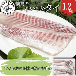 yӂ邳Ɣ[Łz铇̂^C1.2kgyB5-098z  ^C  hg ς Ă  A 
