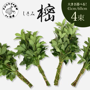 yӂ邳Ɣ[Łz 4Zbg 45cm 60cm
