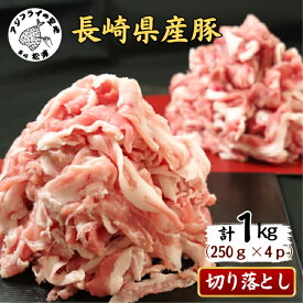【ふるさと納税】長崎県産豚肉切り落とし1kg(250g×4パック)【B0-222】
