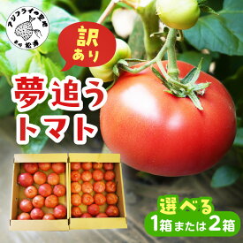 【ふるさと納税】訳あり！ご家庭用に大活躍 夢追うトマト 2.5kg～3kg 5kg～6kg 1箱 2箱 トマト とまと ジューシー リコピン 期間限定 松浦市 松浦産 大玉トマト 訳ありトマト ふるさと納税 野菜 ふるさと納税 トマト