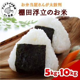 【ふるさと納税】【令和7年産】お弁当屋さんが太鼓判！棚田浮立の里のお米 5kg 10kg「夢しずく」 ふるさと納税 米 お米 コメ 白米 夢しずく 精米 5キロ 10キロ 棚田米 送料無料