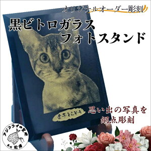 yӂ邳Ɣ[ŁzΕlΉIWiI[_[ rgKXtHgX^hyD3-010z tHgX^h tHgt[ Mtg LOi I[_[Ch 蕨 v[g v