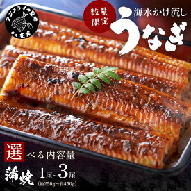 【ふるさと納税】数量限定！海水かけ流しうなぎ蒲焼 2尾 3尾 特大1尾