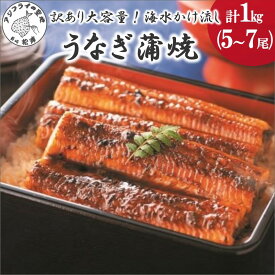【ふるさと納税】＼お中元熨斗対応／訳あり大容量！海水かけ流しうなぎ5尾〜7尾【F0-008】 うなぎ 訳あり 国産 ウナギ 鰻 蒲焼き 蒲焼 かば焼き うなぎ蒲焼 養殖 産地直送 魚 魚介類 海の幸 不揃い 規格外 ふるさと納税 訳あり海鮮 丼 松浦 直送 大容量
