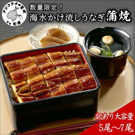 【ふるさと納税】訳あり大容量！海水かけ流しうなぎ5尾〜7尾【F0-016】 うなぎ 訳あり 国産 ウナギ 鰻 蒲焼き 蒲焼 かば焼き うなぎ蒲焼 養殖 産地直送 魚 魚介類 海の幸 不揃い 規格外 ふるさと納税 訳あり海鮮 丼 松浦 直送 大容量