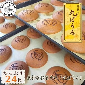 yӂ邳Ɣ[ŁzΕlΉhۂڂhƌ΁uS}̊ۂڂvՂ24yB1-160z ۂڂ S}̊ۂڂ yَq aَq